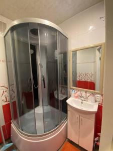 a bathroom with a shower and a sink at Apartment in Shoduar's park in Zhytomyr
