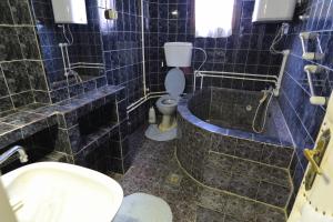 bagno piastrellato blu con servizi igienici e lavandino di Sobe Milinka a Soko Banja Altre 28 foto