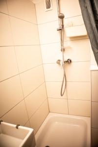 a bathroom with a shower and a toilet at Apartment für 3 Gäste mit kostenlosen Parkplätzen und Lift in Hannover