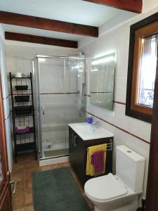 a bathroom with a toilet and a sink and a shower at Apartamento La Costa in Santa Cruz de Tenerife