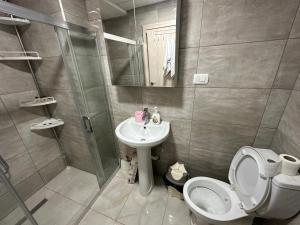 La salle de bains est pourvue de toilettes, d'un lavabo et d'une douche. dans l'établissement Welcoming Apartment w/ Wi-Fi + Private Bathroom, à Struga