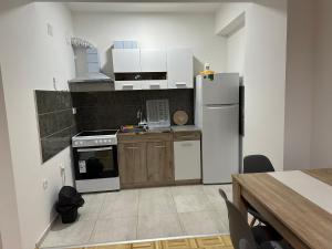 kuchnia z białą lodówką i kuchenką w obiekcie Welcoming Apartment w/ Wi-Fi + Private Bathroom w mieście Struga