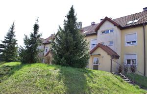 a large house on a grassy hill with trees at Apartament Ogrodowa in Mrągowo