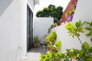 Hermoso Apartamento a estrenar في بوينس آيرس: زقاق في بيت ابيض فيه نباتات