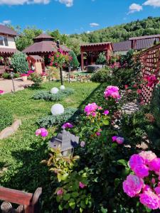 un jardín con flores rosas y un banco en Vila N&N Palace en Bistriţa Bîrgăului