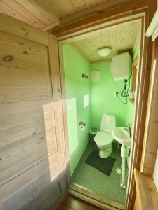 a small bathroom with a toilet and a sink at Männiliiva puhkemaja in Hiiumaa