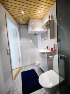 un piccolo bagno con un water e un lavandino di Beaivváš - luminous city home a Rovaniemi Altre 39 foto