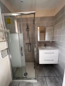 uma casa de banho com um chuveiro e um lavatório. em Orizzonte montagna em Figari