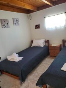 a bedroom with two twin beds and a window at Villa Koutsakis in Kaloi Limenes