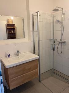 een badkamer met een wastafel en een douche bij Residenz Bollwark 312 in Kappeln