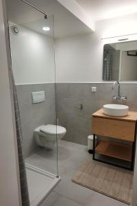 a bathroom with a shower and a toilet and a sink at Studio calme proche Genève in Saint-Jean-de-Gonville