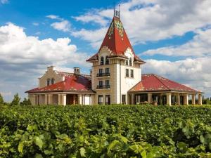 a large house with a tower on top of a vineyard at Charming & Relaxing - Feel like Home in Subotica in Subotica