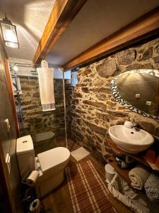 ein Steinbad mit einem WC und einem Waschbecken in der Unterkunft A Casinha do Cantinho in Arouca