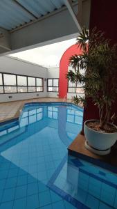 een groot zwembad met een potplant in een gebouw bij New Life Piracicaba by Atlantica in Piracicaba