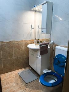a bathroom with a blue toilet and a sink at Adriatic Oasis Apartments in Preko