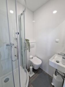 a bathroom with a shower and a toilet and a sink at Apartment and Room Marija in Krk