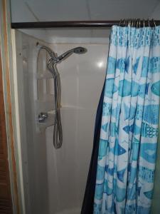 a shower head in a bathroom with a shower curtain at New! The Turk Lake House - Lakefront With Toys! in Greenville