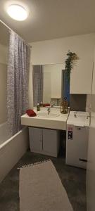 uma casa de banho com um lavatório e um espelho em Stylish 1-bedroom flat with beautiful terrace , for a cosy Retreat em Estrasburgo