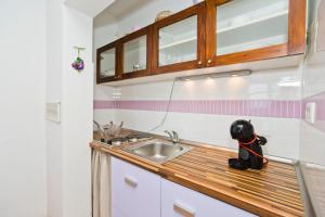 a small kitchen with a sink and a dog on the counter at Rino in Hvar