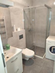 a bathroom with a shower and a toilet and a sink at Apartman MiS Trebinje in Trebinje