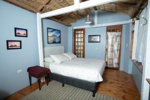 a bedroom with a bed in a room with blue walls at Los Elementos in Santa Cruz La Laguna
