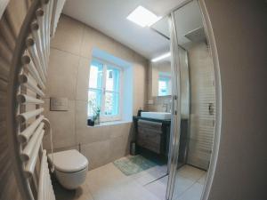 a bathroom with a toilet and a sink and a shower at Apartment an der Rugenstiege in Steiner Altstadt in Krems an der Donau