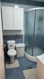 a bathroom with a toilet and a shower at Apartman LUX BRUS in Brus
