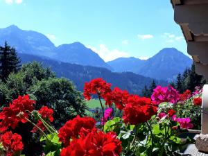 a bunch of red flowers with mountains in the background at Ferienhof Obertenn in Hochfilzen