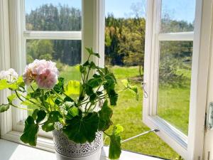Zahrada ubytování Holiday home Edsbruk II