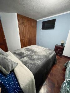 1 dormitorio con 1 cama y TV de pantalla plana en Hermoso y cómodo loft con vista a los nevados, en Riobamba