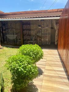 Una pasarela de madera con un arbusto junto a un edificio en Casa da Tetê, en Fernando de Noronha