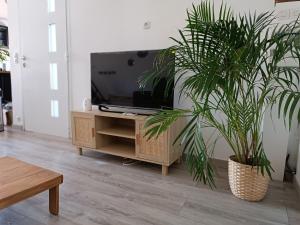 uma sala de estar com televisão e dois vasos de plantas em Cabanon Fabrin em Saint-Mitre-les-Remparts