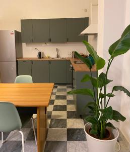 eine Küche mit grünen Schränken und einer Topfpflanze in der Unterkunft Lo Studio in Pisa