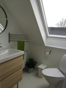 Un baño con lavabo, inodoro y ventana. en Svalegaarden Guesthouse, en Særslev