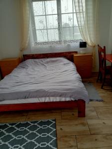 un letto in una camera da letto con finestra e tappeto di Agroturystyka "Pod Bluszczem" a Krasnobród