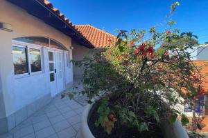 Zahrada ubytování Cabarete Beach Apartment