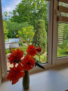 un vaso con fiori rossi seduto sul davanzale di una finestra di Villa ZENKO a Lviv