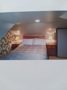 a bedroom with a bed and a flat screen tv at Elmgrove Apartment , Croagh Patrick Westport in Westport