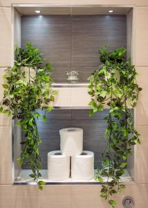 a shelf with three toilets and three potted plants at Elegant 1 bed apartment- Hampstead Village in London +27 photos