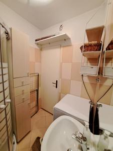 mała łazienka z umywalką i toaletą w obiekcie Meressa Nina&Leo Studio Apartments w mieście Novigrad