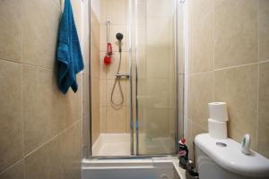 prysznic ze szklanymi drzwiami obok toalety w obiekcie Sleek and Stylish 2 bed in Clifton - Garden w Bristolu