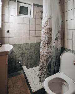 a bathroom with a toilet and a shower curtain at Mountain View in Konitsa