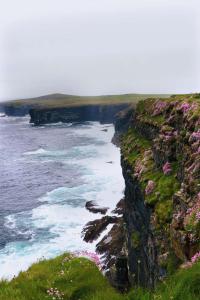 a view of the ocean with pink flowers on a cliff at An Sean Teach in Fodry