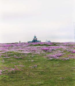 Gallery image of An Sean Teach in Fodry