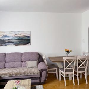 普盧日內的住宿－Apartment Varezić，客厅配有沙发和桌子