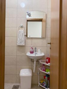 a bathroom with a sink and a toilet and a mirror at Apartment Varezić in Plužine