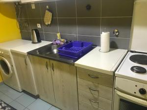 una cucina con lavandino e un vassoio viola sul bancone di Niš Apartman a Niš