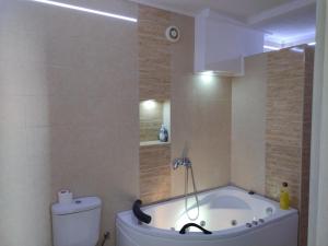a bathroom with a bath tub and a toilet at Z&G Apartment in Bitola