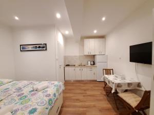 Kuchyň nebo kuchyňský kout v ubytování Meressa Nina&Leo Studio Apartments