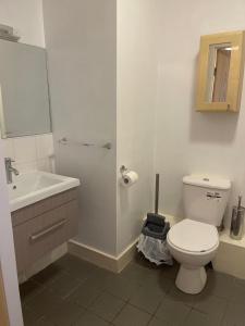 a white bathroom with a toilet and a sink at Greeg Court in Dublin
